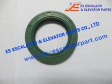 Sealing Ring 200132782