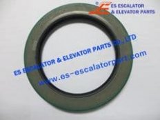 Shaft Sealing Ring 200023282
