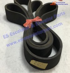 GOA260AF1 handrail drive belt